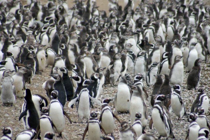 Navigation to Magdalena Island