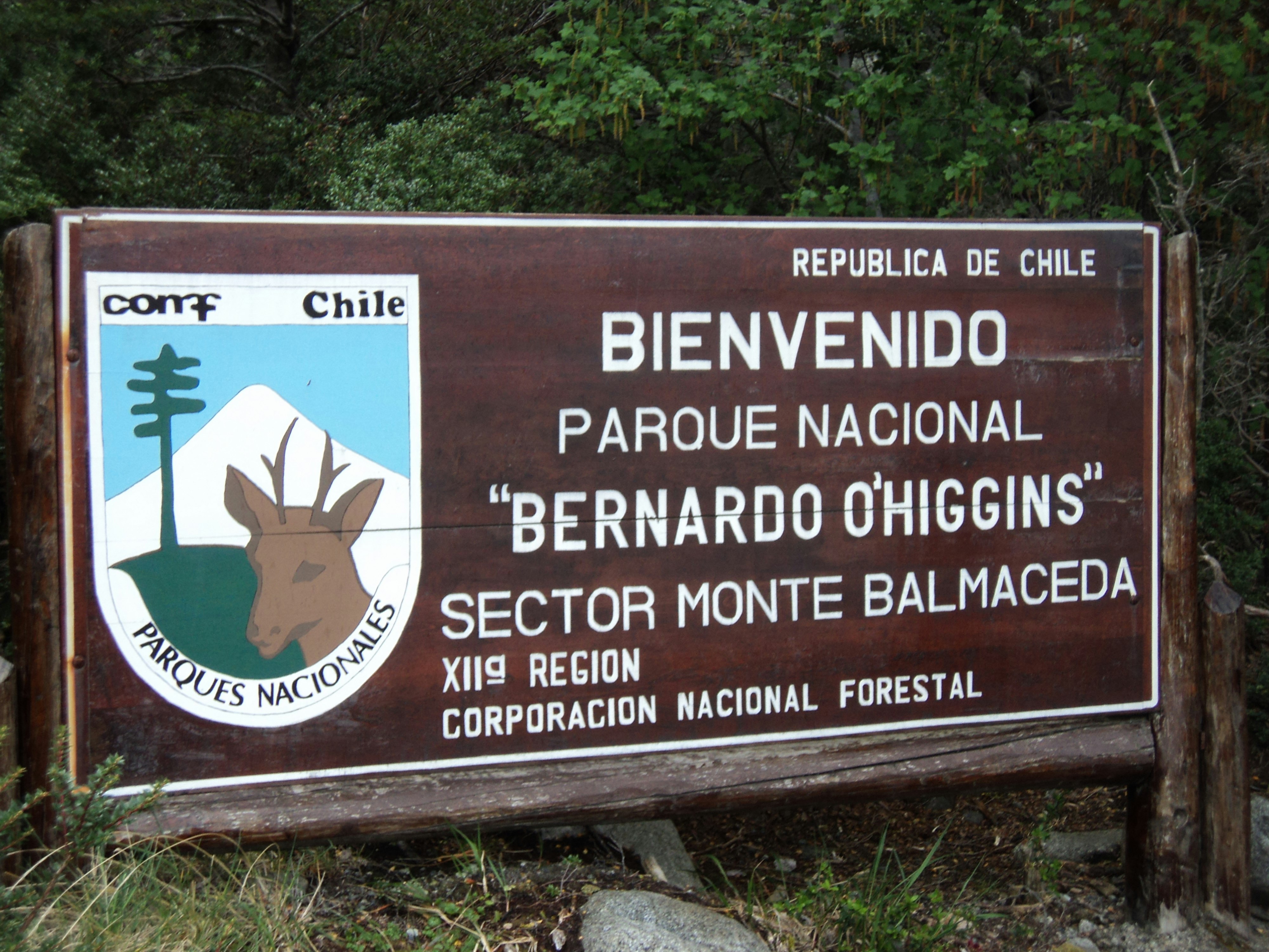 Glaciares Balmaceda y Serrano - imagen #15