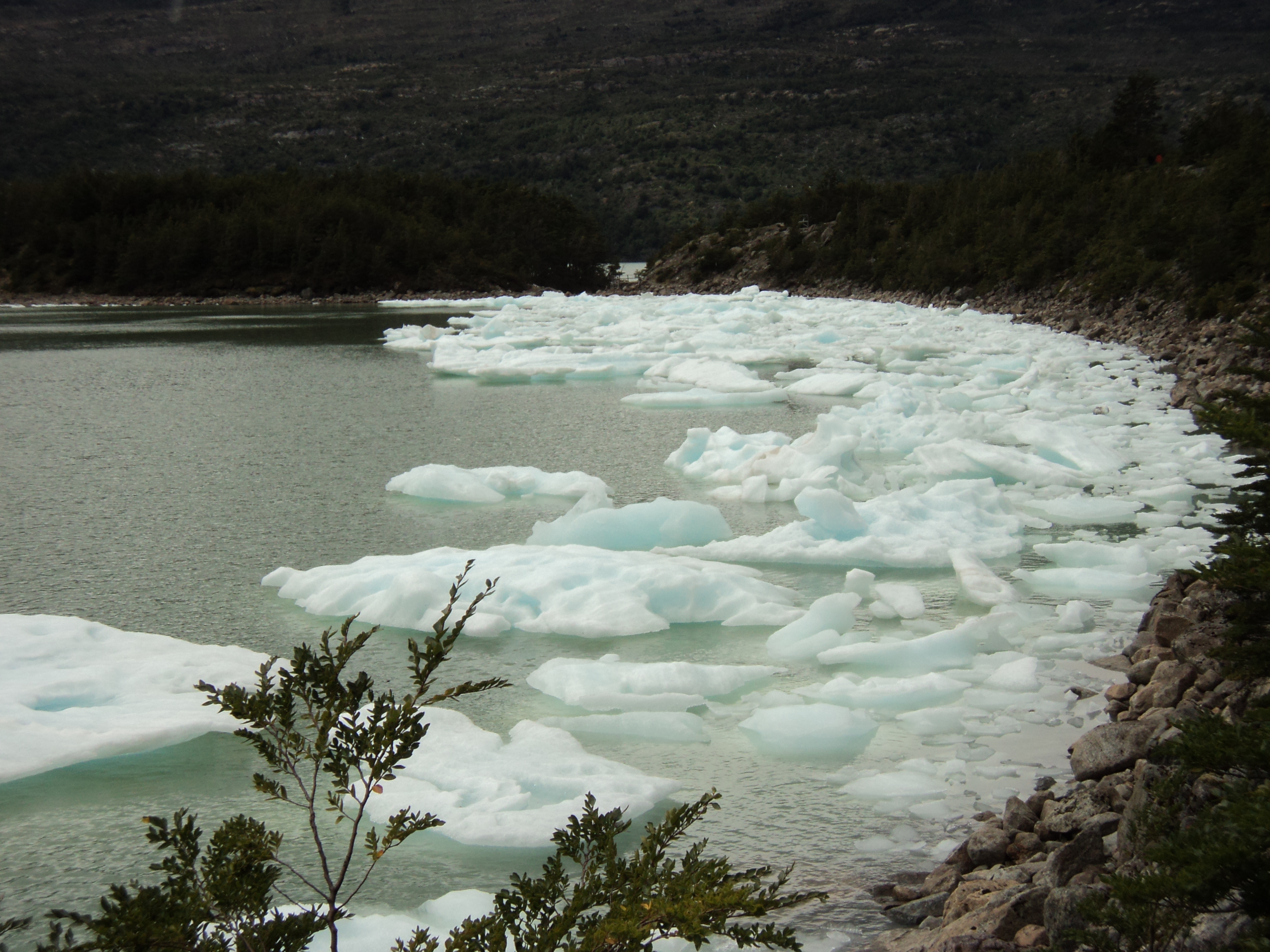 Balmaceda and Serrano Glaciers