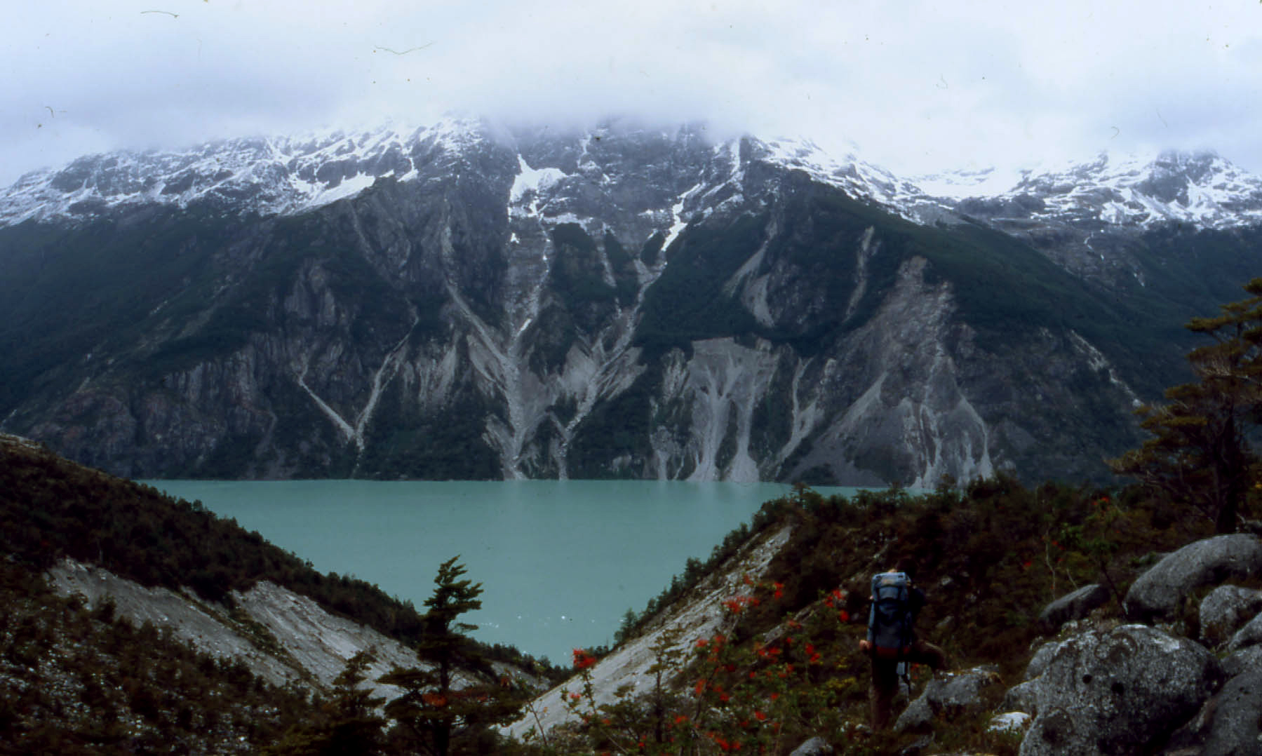 Tour Coyhaique, Caleta Tortel and Baker River