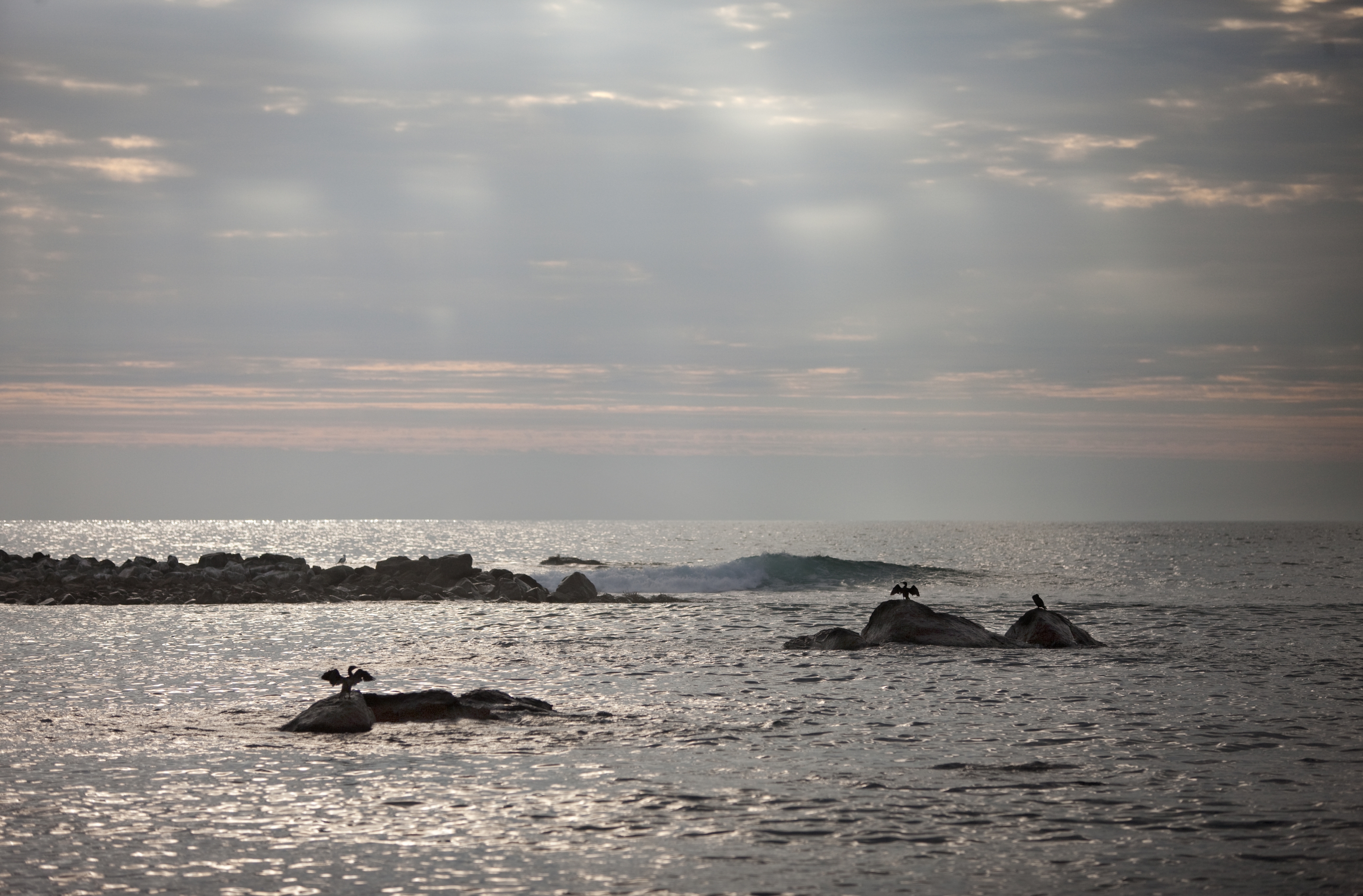 La Serena, Coquimbo and Mamalluca Tours