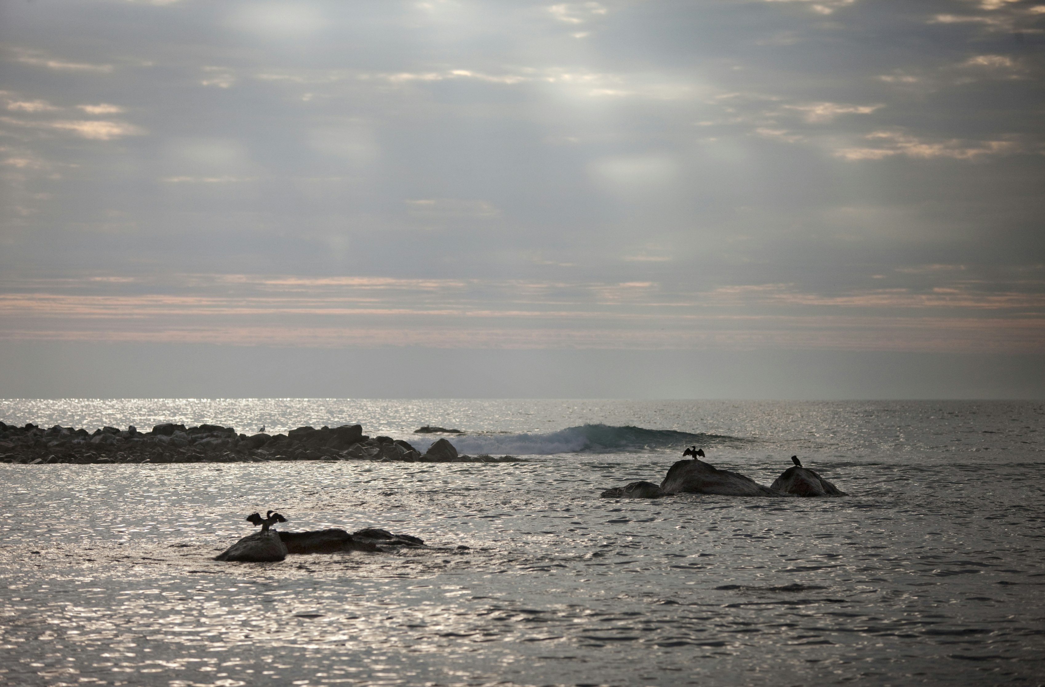 La Serena, Coquimbo and Mamalluca Tours - imagen #7