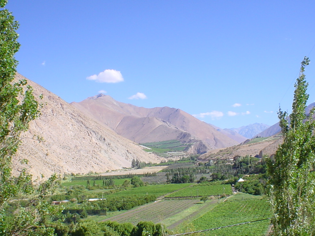 La Serena and Elqui Valley Tour