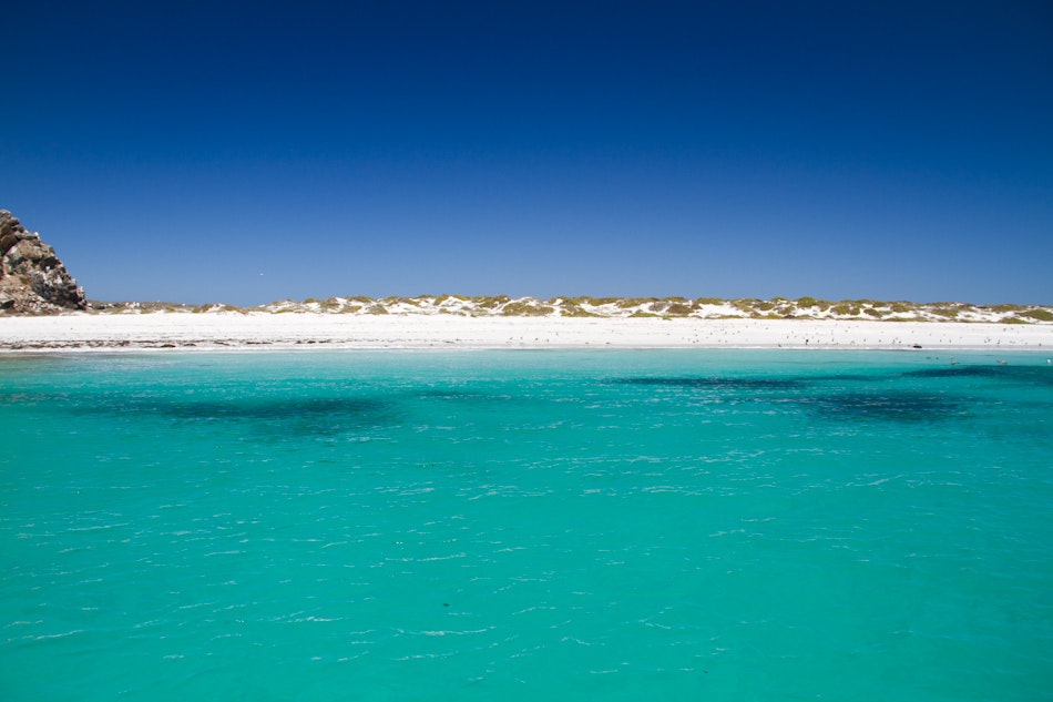 La Serena and Elqui Valley Tour - imagen #8