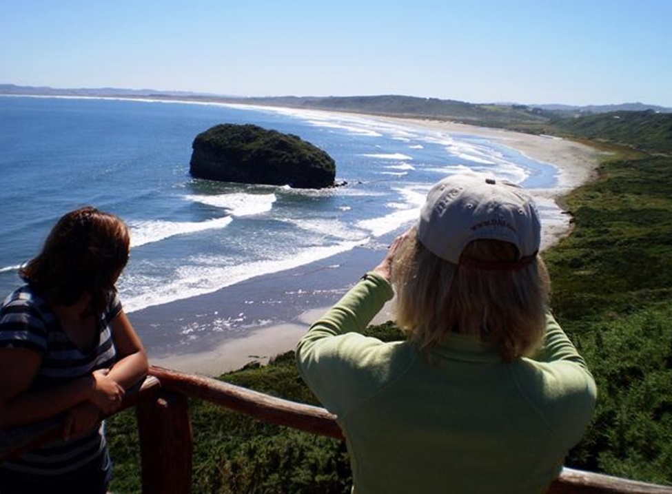 Chiloé Island: Ancud & Puñihuil