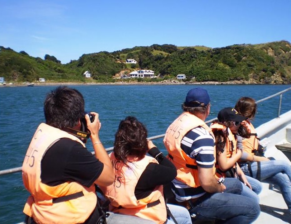 Chiloé Island: Ancud & Puñihuil