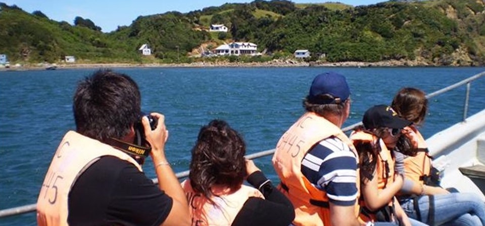 Isla de Chiloé: Ancud y Puñihuil