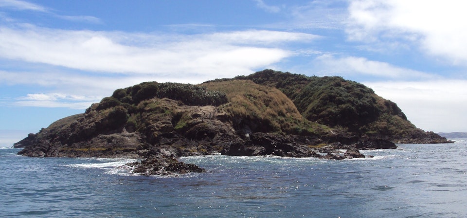 Isla de Chiloé: Ancud y Puñihuil